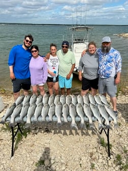 Striped Bass Fishing in Whitney, Texas