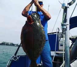 Halibut Fishing in San Diego, California