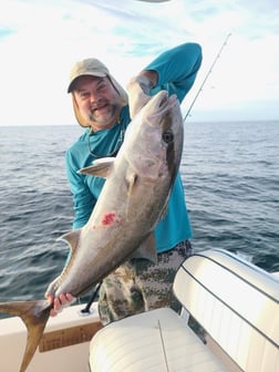 Kingfish Fishing in Sarasota, Florida