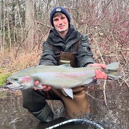 Rainbow Trout Fishing in Big Rapids, Michigan