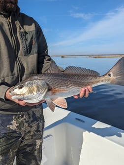 Fishing in Belhaven, North Carolina