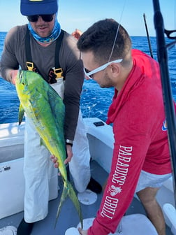 Fishing in Key West, Florida