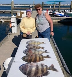 Red Snapper Fishing in Orange Beach, Alabama