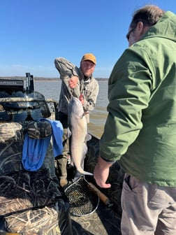 Fishing in Oxford, Mississippi