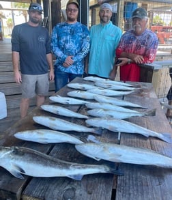 Speckled Trout / Spotted Seatrout fishing in Galveston, Texas