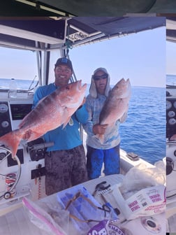 Fishing in Cedar Key, Florida