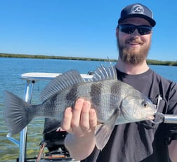 Black Drum Fishing in New Smyrna Beach, Florida