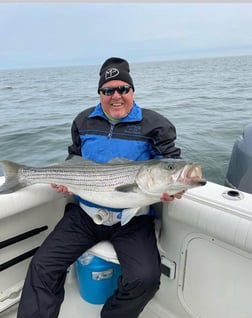 Striped Bass Fishing in Dennis, Massachusetts