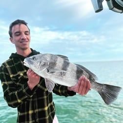 Black Drum Fishing in Cape Coral, Florida