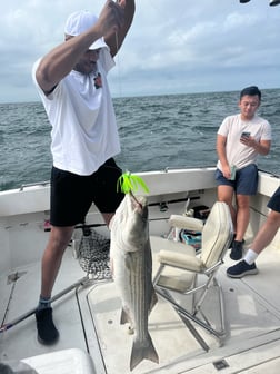 Striped Bass fishing in Montauk, New York