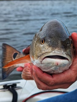 Fishing in Belhaven, North Carolina