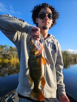 Fishing in Fort Lauderdale, Florida