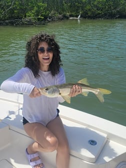 Snook fishing in Fort Myers, Florida