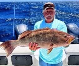 Snowy Grouper Fishing in Gulf Shores, Alabama