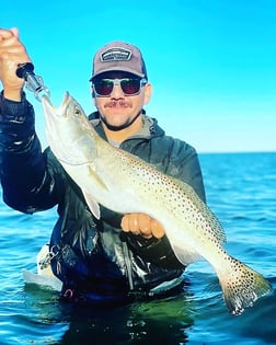 Speckled Trout / Spotted Seatrout Fishing in Port O'Connor, Texas