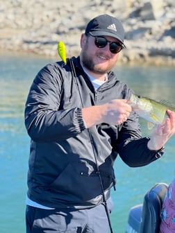 Largemouth Bass Fishing in Austin, Texas