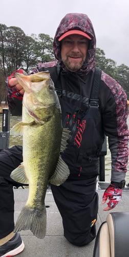 Largemouth Bass Fishing in Lake Fork, Texas