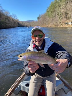 Rainbow Trout fishing in Leicester, North Carolina