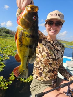 Fishing in Fort Lauderdale, Florida