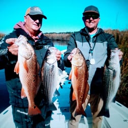 Redfish Fishing in Jacksonville, Florida