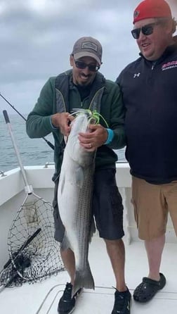 Striped Bass fishing in Montauk, New York