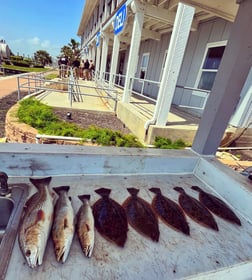 Flounder, Redfish, Speckled Trout Fishing in Galveston, Texas