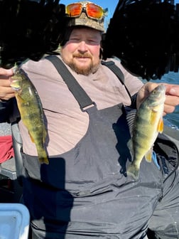 Perch Fishing in Manistee, Michigan