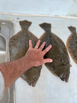 Flounder Fishing in Galveston, Texas