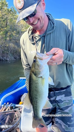 Largemouth Bass Fishing in Graford, Texas