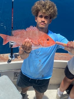 Red Snapper Fishing in Destin, Florida