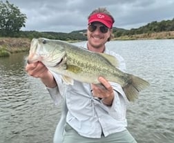 Largemouth Bass fishing in Graford, Texas