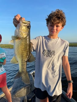 Largemouth Bass fishing in Lake Okeechobee, Florida