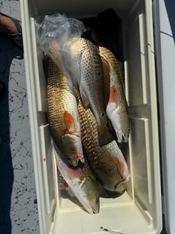 Fishing in Aransas Pass, Texas