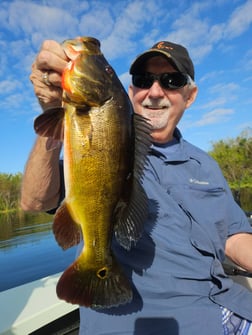 Fishing in Fort Lauderdale, Florida