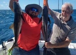 Cobia fishing in Wrightsville Beach, North Carolina