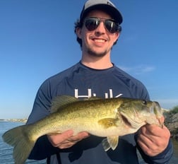 Largemouth Bass Fishing in Palmetto Bay, Florida