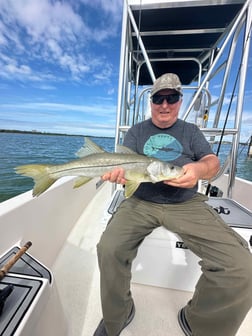 Blacktip Shark Fishing in Sarasota, Florida