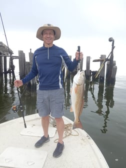 Black Drum, Redfish, Sheepshead Fishing in Houston, Texas