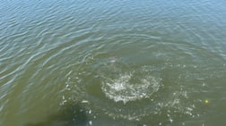 Redfish fishing in Santa Rosa Beach, Florida