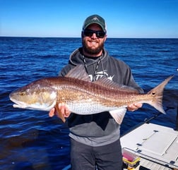 Fishing in Apalachicola, Florida