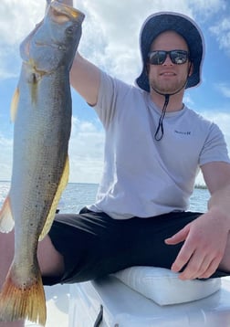 Redfish, Speckled Trout Fishing in Panama City, Florida