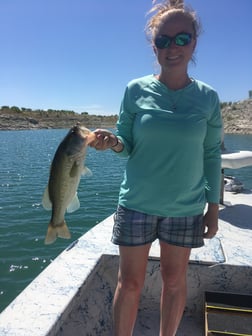 Largemouth Bass fishing in Del Rio, Texas