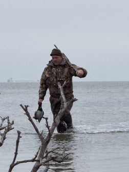 Bluebill, Northern Pintail, Northern Shoveler, Redhead Hunting in South Padre Island, Texas