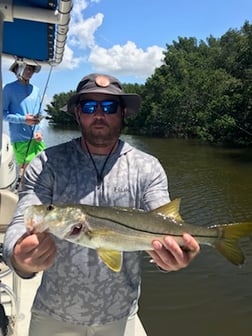 Snook Fishing in St. Petersburg, Florida