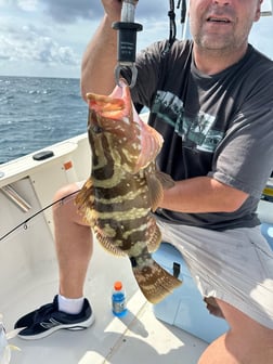 Red Grouper Fishing in Key Largo, Florida