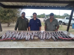 Fishing in San Antonio, Texas