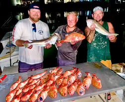 Blackbelly Rosefish, Tilefish Fishing in Miami, Florida