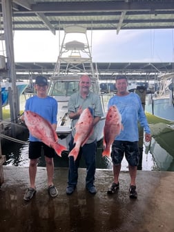 Red Snapper Fishing in Galveston, Texas