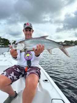 Jack Crevalle Fishing in Jupiter, Florida