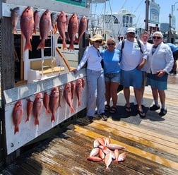 Red Snapper, Scup, Vermillion Snapper Fishing in Destin, Florida